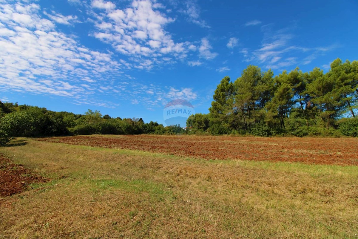 Terreno non edificabile Rovinj, 10.500m2