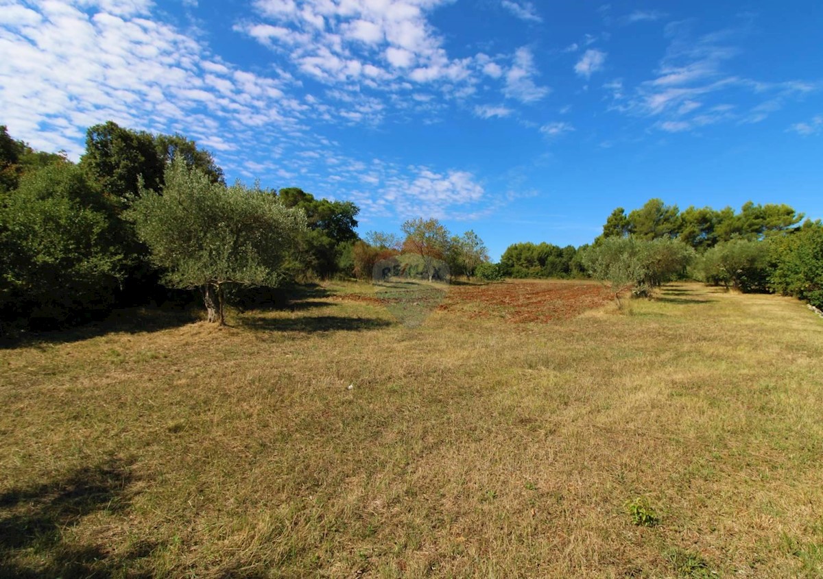 Terreno non edificabile Rovinj, 10.500m2