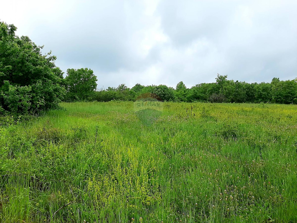 Terreno edificabile Brtonigla, 5.712m2