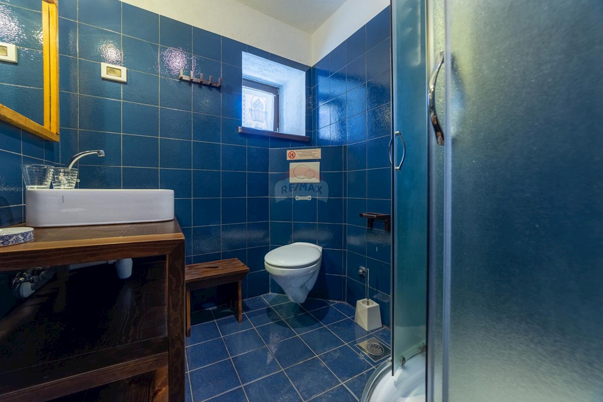 Villa Singola/Casa Vacanza Gračišće, 520m2
