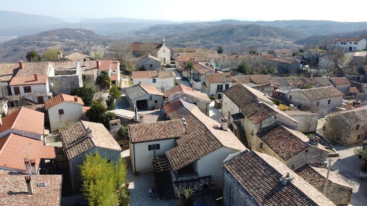 Villa Singola/Casa Vacanza Gračišće, 520m2
