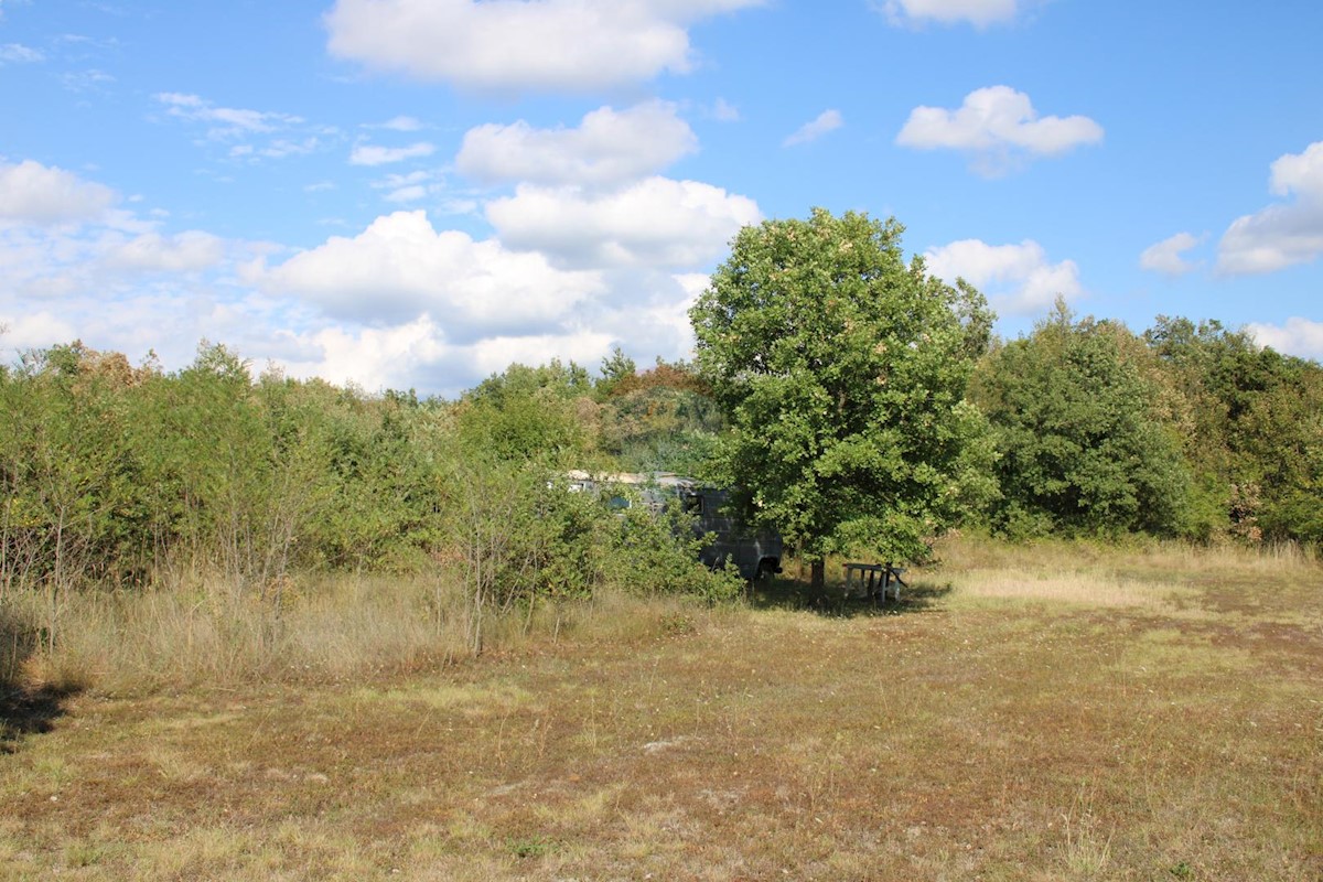 Terreno non edificabile Sveti Lovreč, 12.796m2