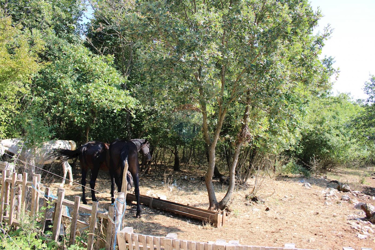 Terreno non edificabile Sveti Lovreč, 12.796m2