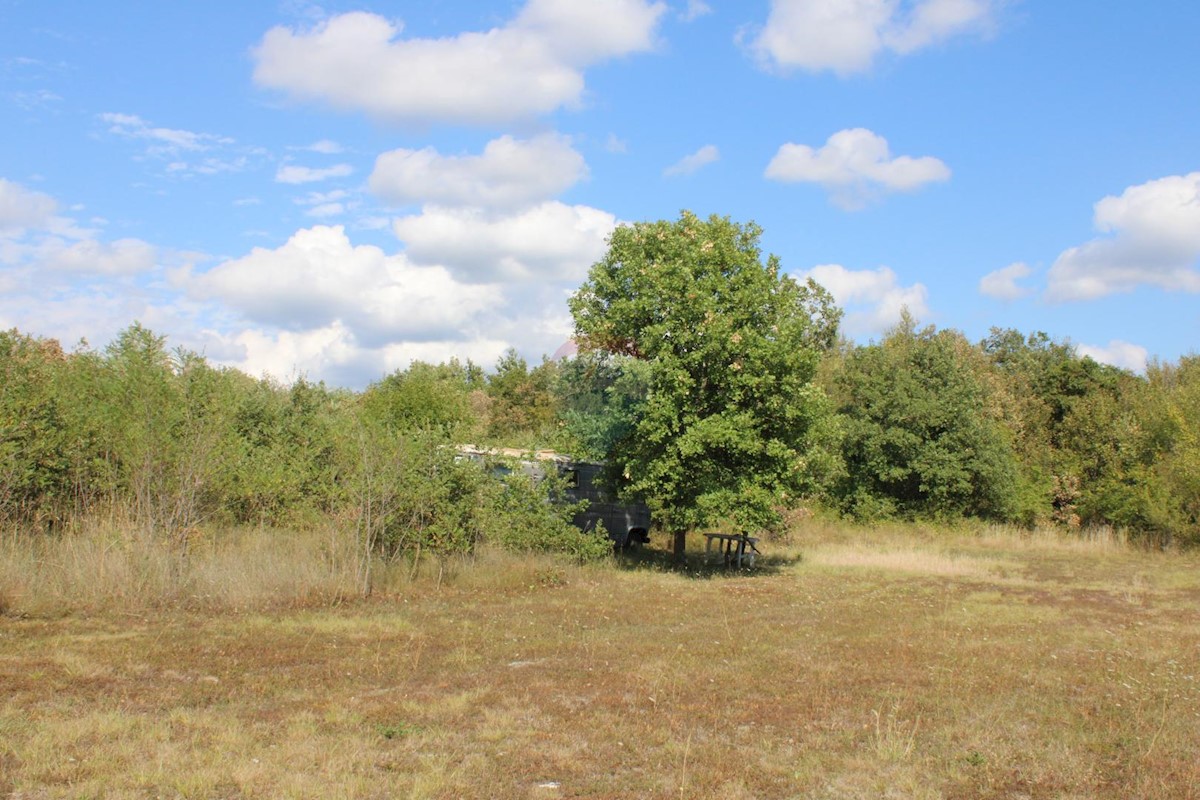 Terreno non edificabile Sveti Lovreč, 12.796m2