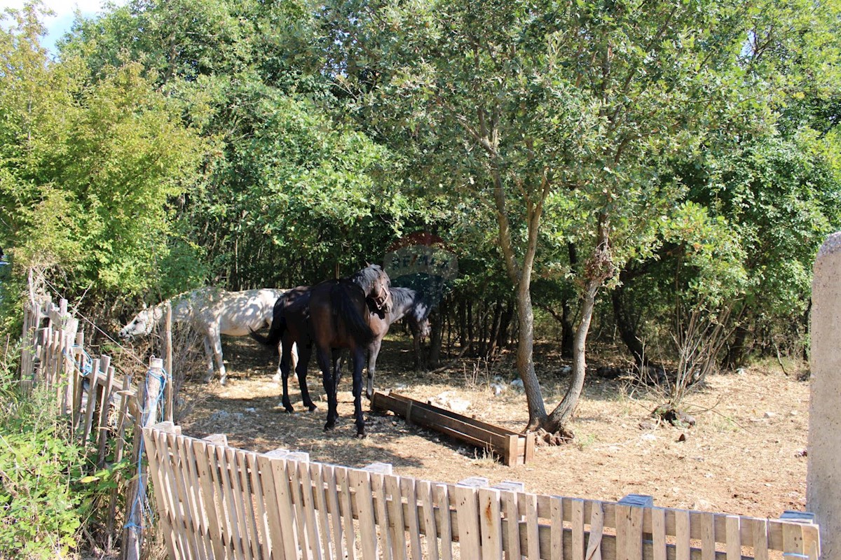 Terreno non edificabile Sveti Lovreč, 12.796m2