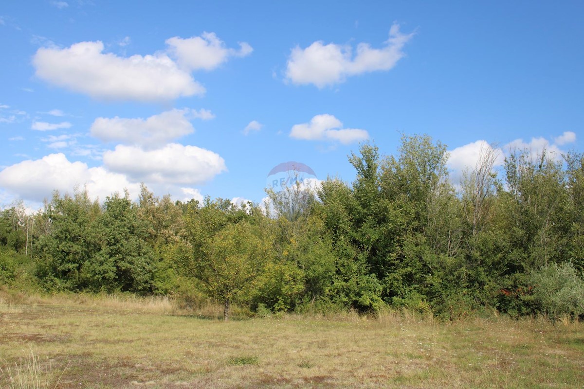 Terreno non edificabile Sveti Lovreč, 12.796m2