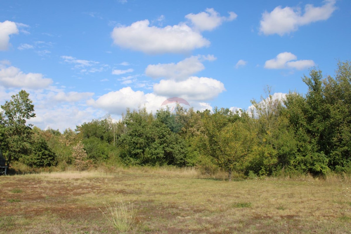 Terreno non edificabile Sveti Lovreč, 12.796m2