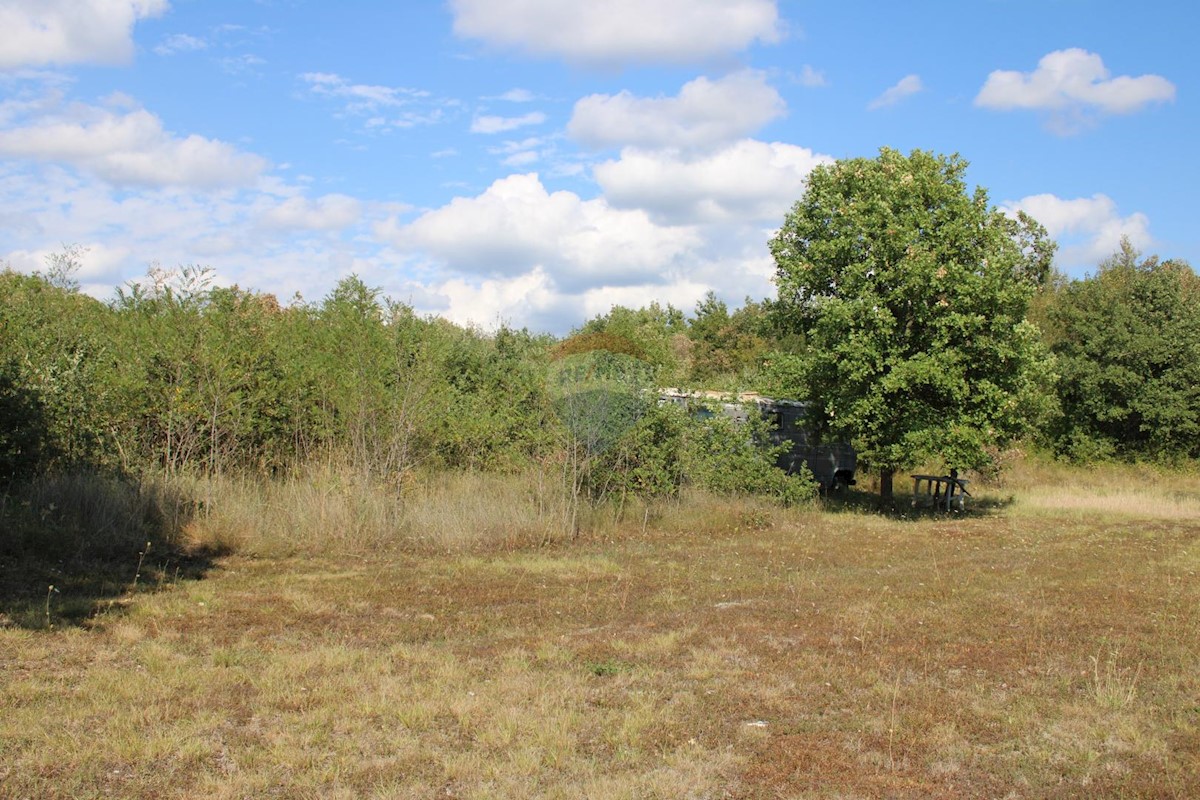 Terreno non edificabile Sveti Lovreč, 12.796m2