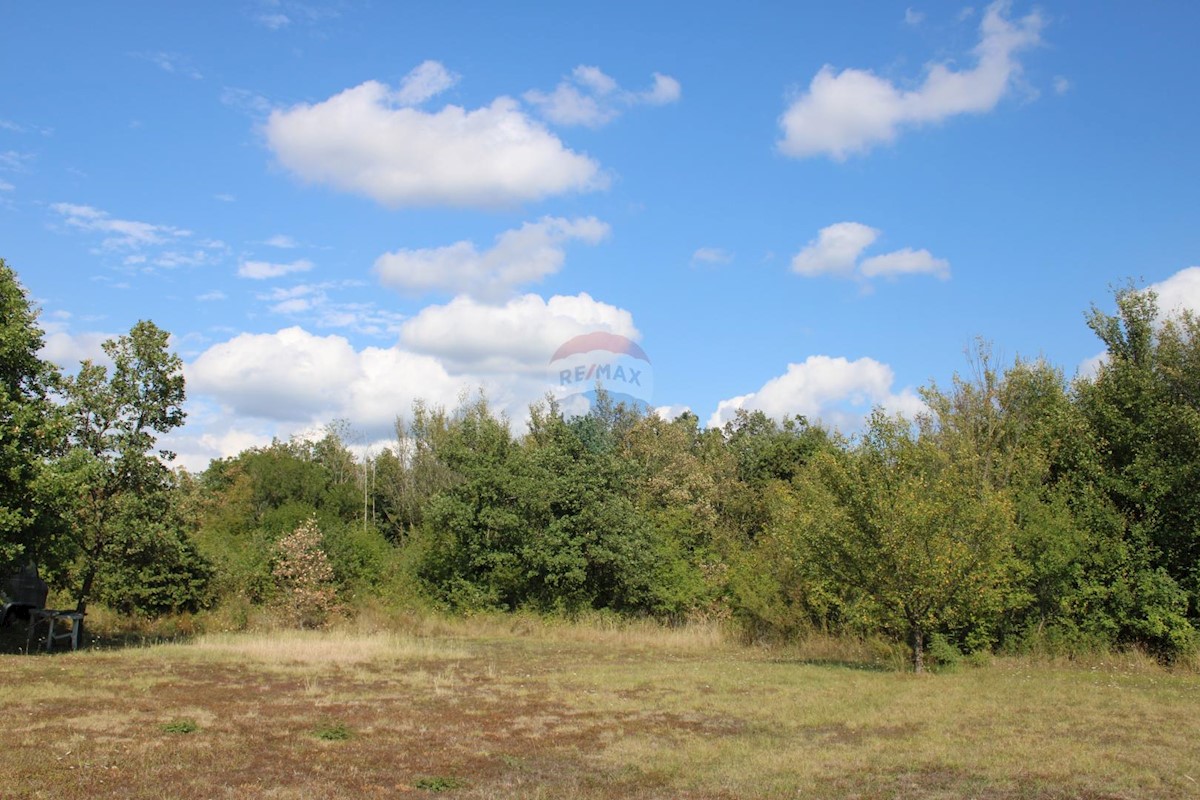 Terreno non edificabile Sveti Lovreč, 12.796m2