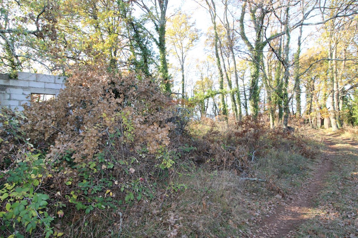 Terreno edificabile Štuti, Višnjan, 6.850m2