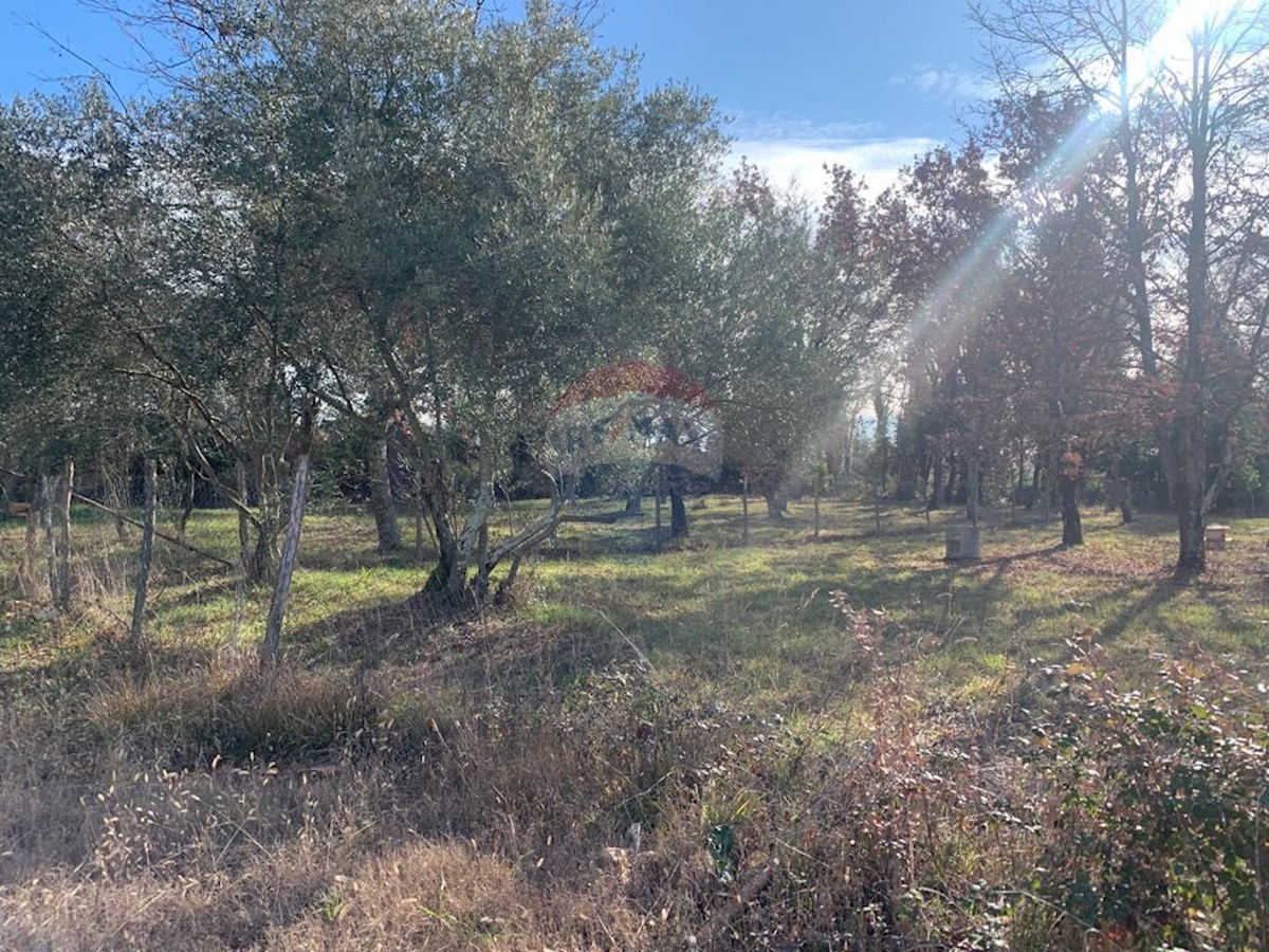 Terreno edificabile Poreč, 1.050m2