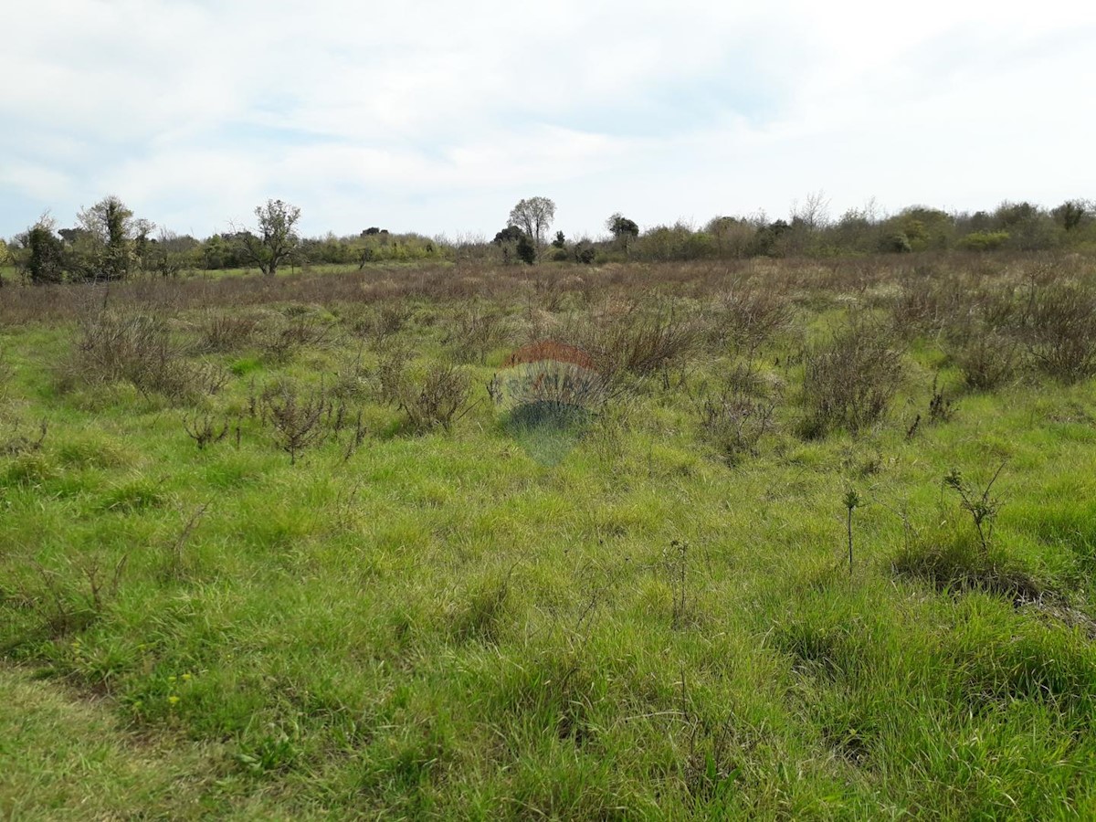 Terreno non edificabile Medulin, 1.654m2