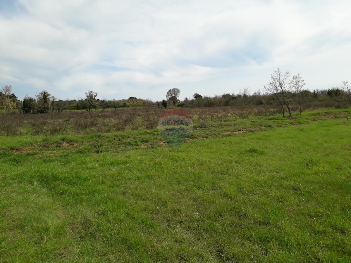 Terreno non edificabile Medulin, 1.654m2