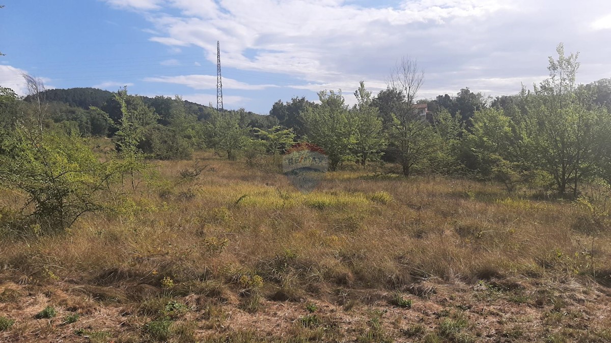 Terreno edificabile Karojba, 9.287m2