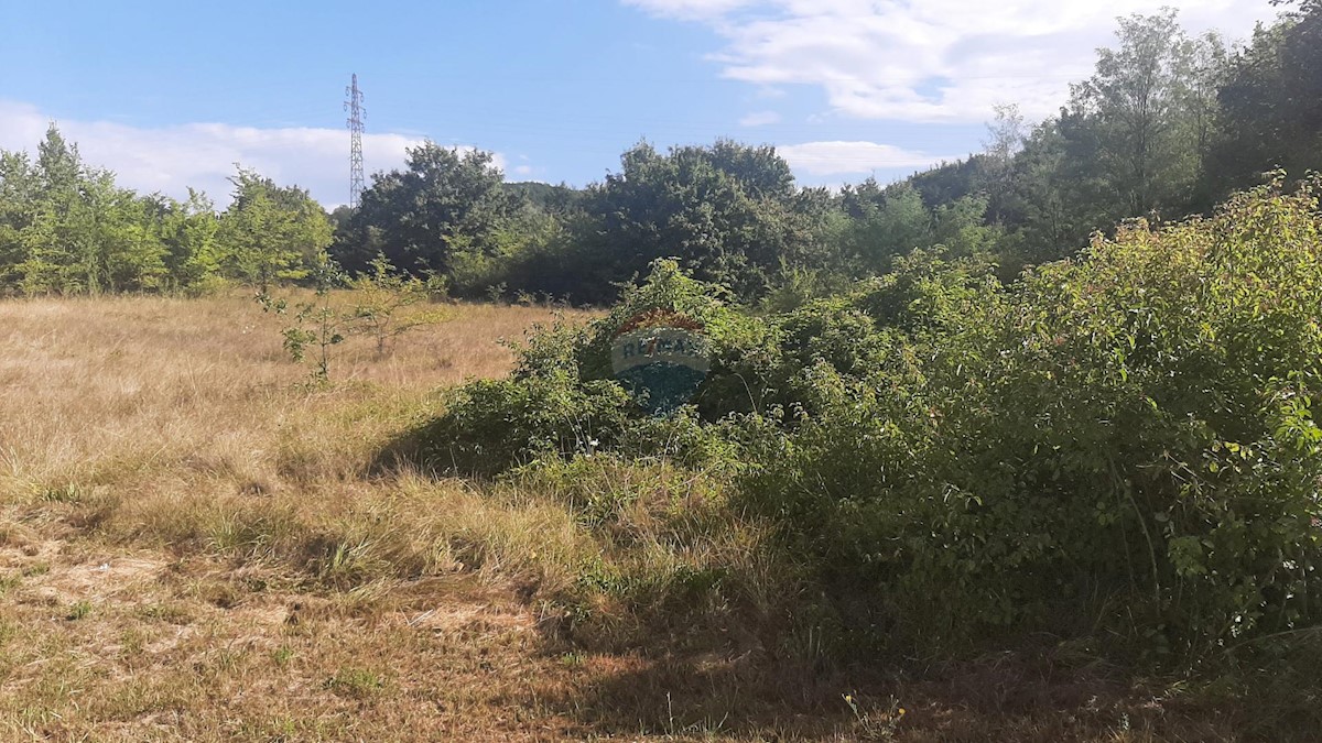 Terreno edificabile Karojba, 9.287m2