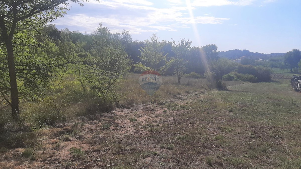 Terreno edificabile Karojba, 9.287m2