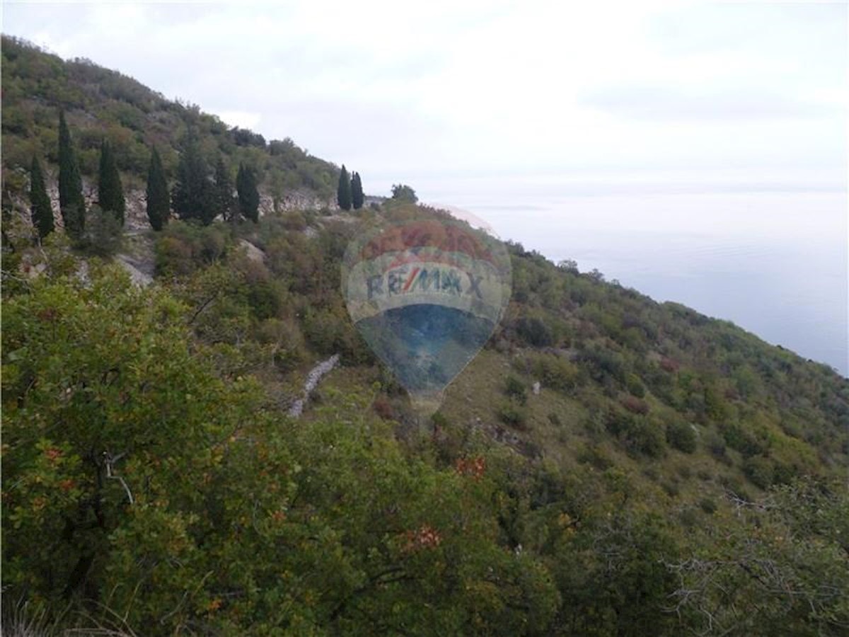 Terreno non edificabile Mošćenička Draga, 9.236m2