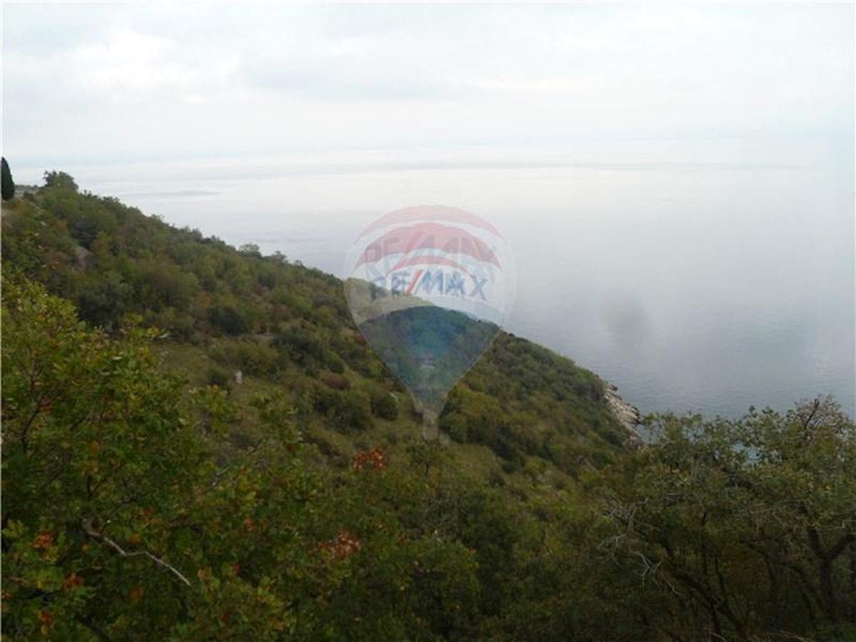 Terreno non edificabile Mošćenička Draga, 9.236m2