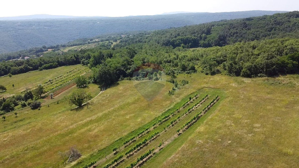 Terreno edificabile Pićan, 11.584m2