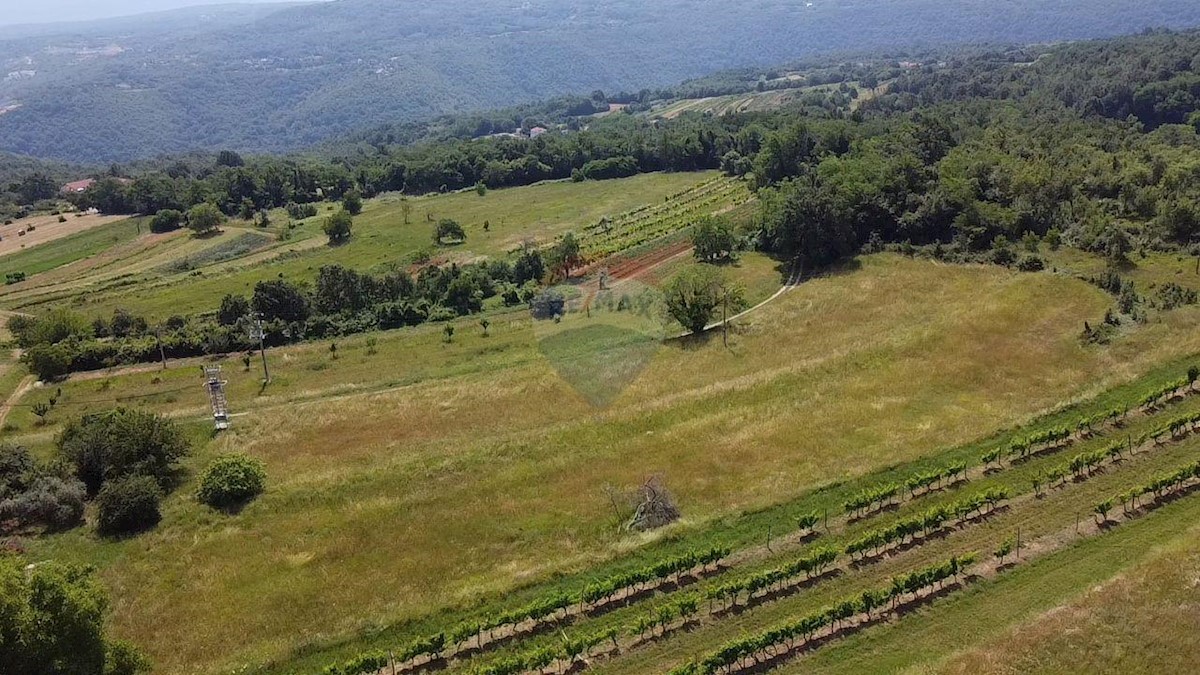 Terreno edificabile Pićan, 11.584m2