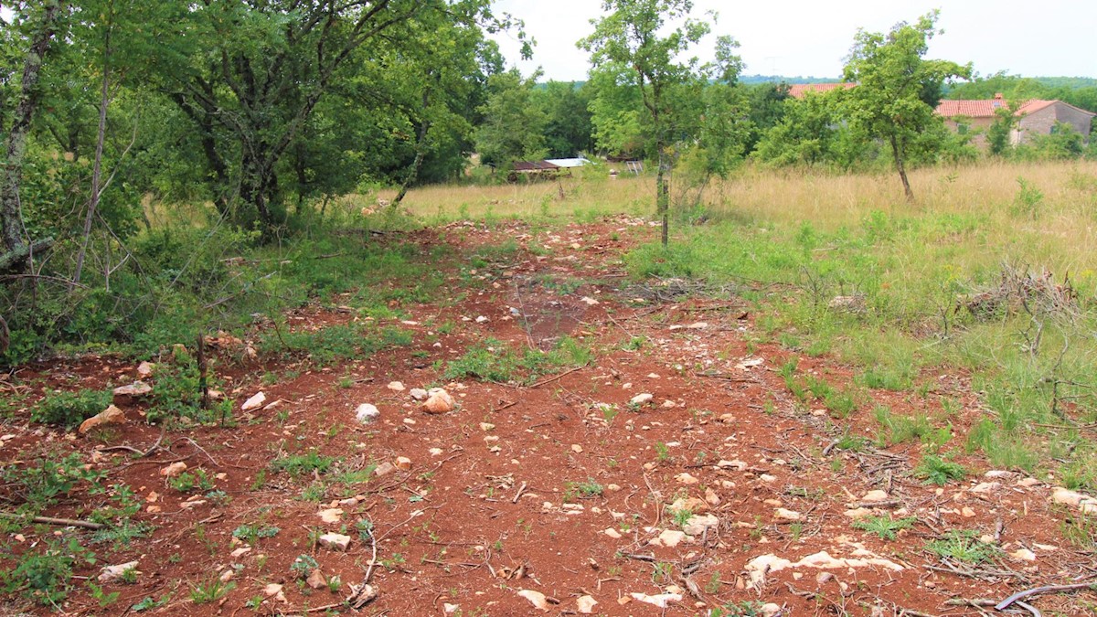 Istria, dintorni di Grisignana, terreno edificabile, 1.186m2