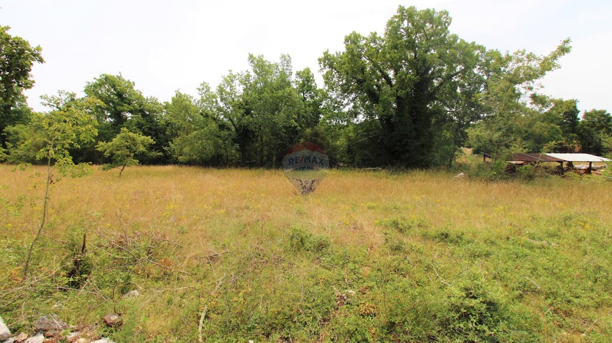 Istria, dintorni di Grisignana, terreno edificabile, 1.186m2