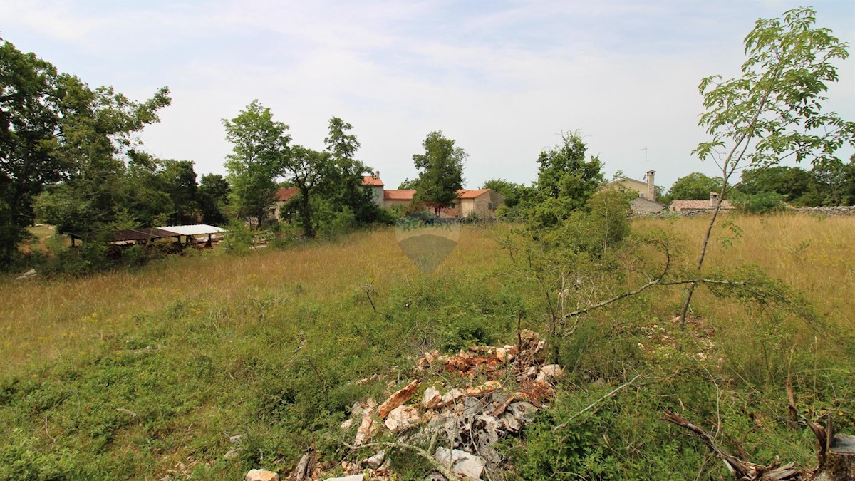 Istria, dintorni di Grisignana, terreno edificabile, 1.186m2