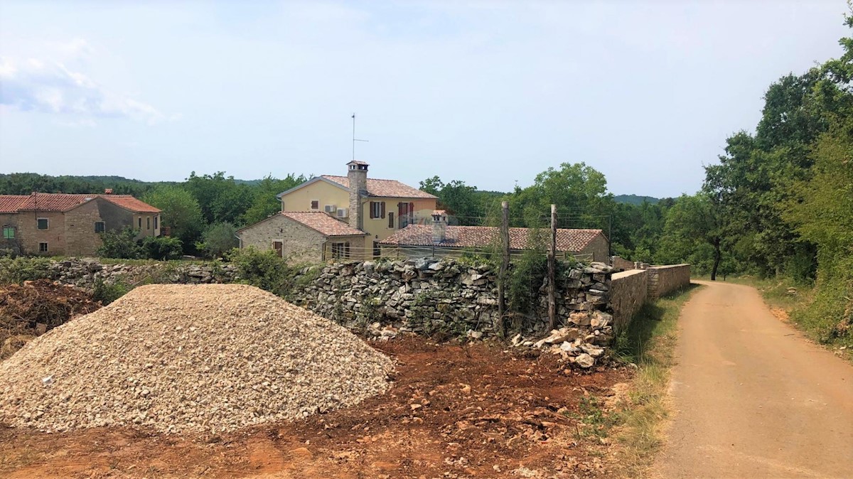 Istria, dintorni di Grisignana, terreno edificabile, 1.186m2