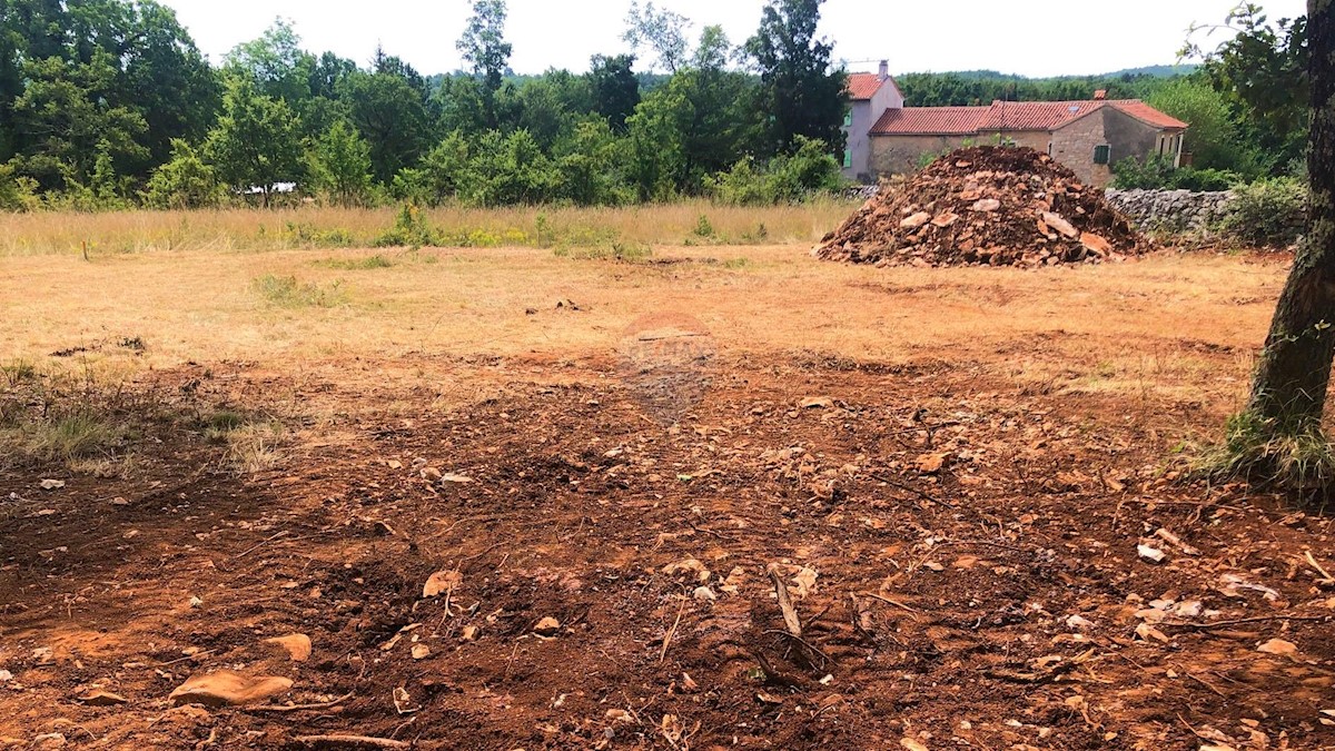 Istria, dintorni di Grisignana, terreno edificabile, 1.186m2