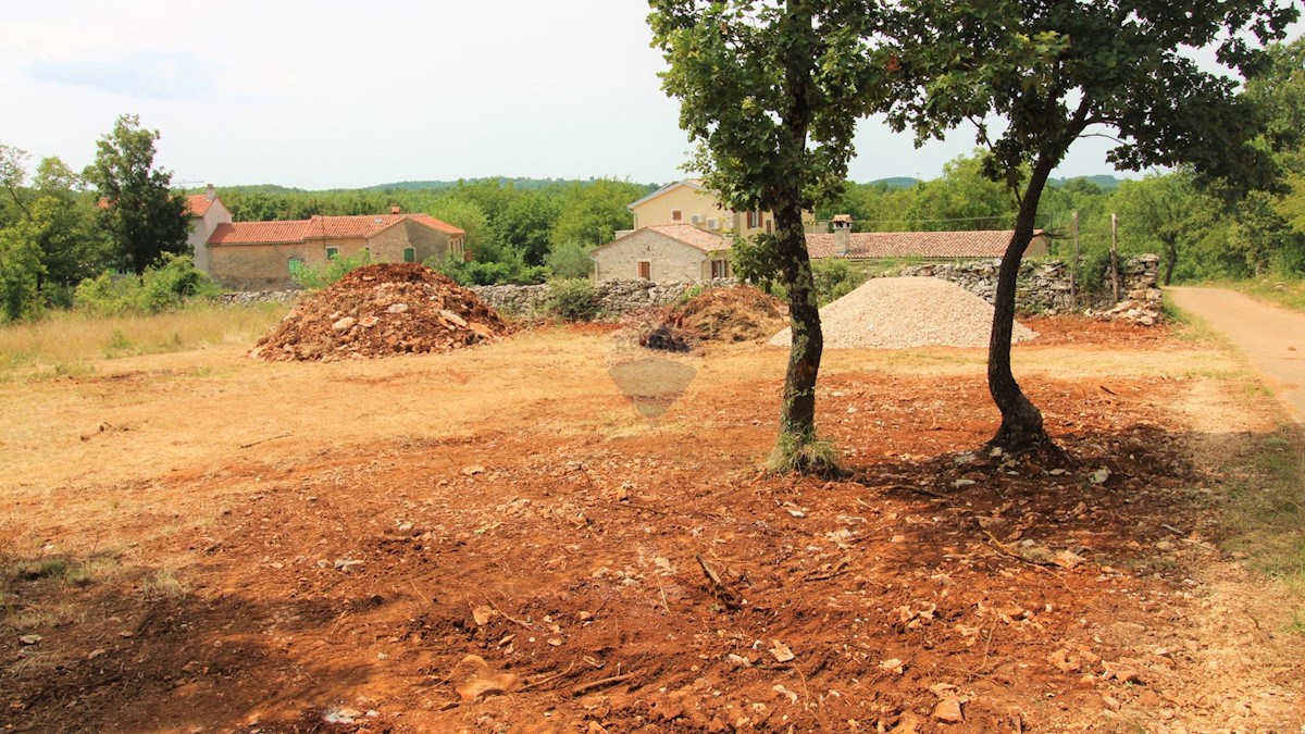 Istria, dintorni di Grisignana, terreno edificabile, 1.186m2