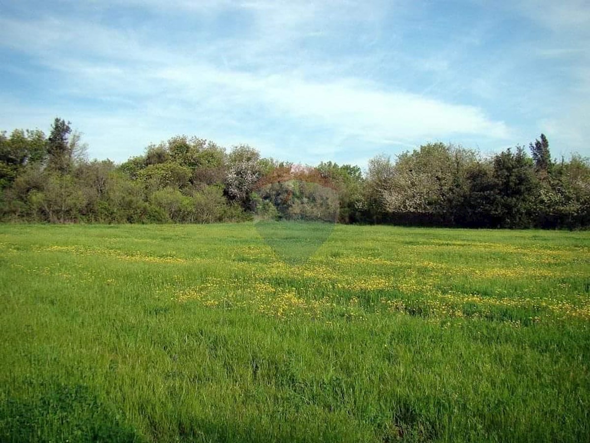 Terreno edificabile Ližnjan, 16.033m2