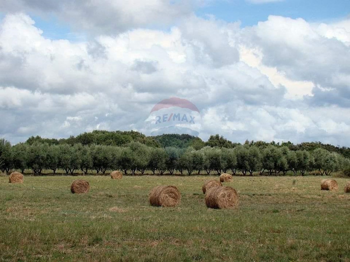 Terreno edificabile Ližnjan, 16.033m2