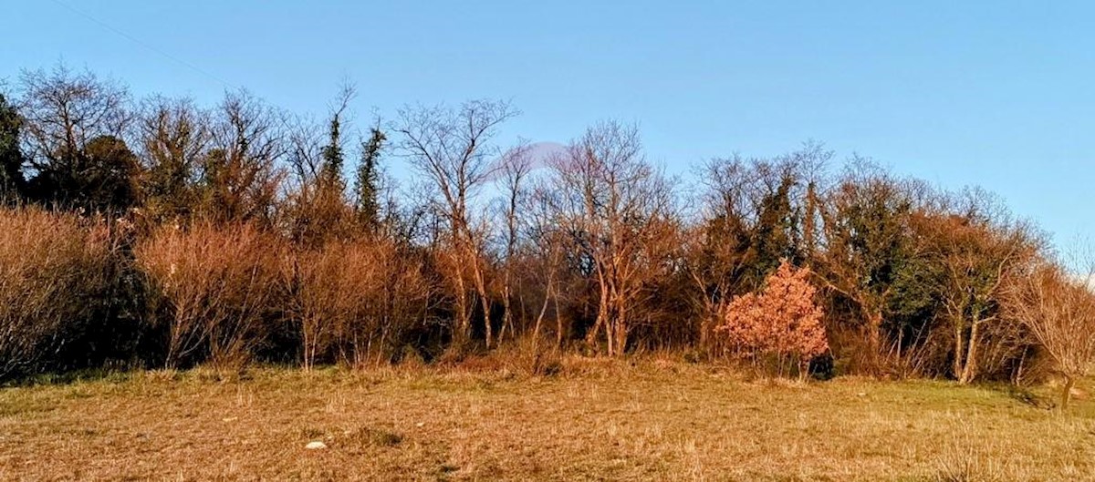 Terreno non edificabile Krasica, Bakar, 2.500m2