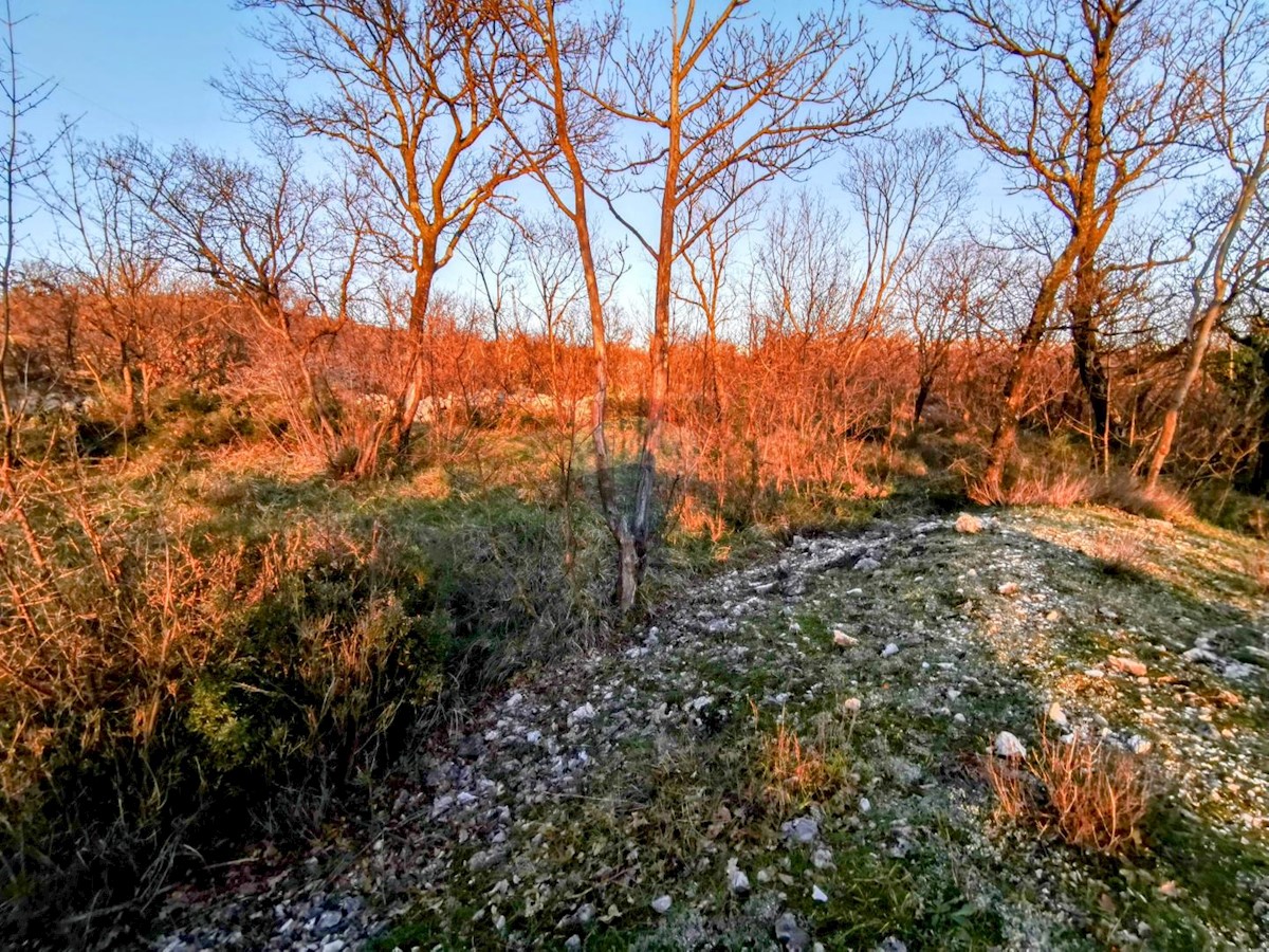 Terreno non edificabile Krasica, Bakar, 2.500m2