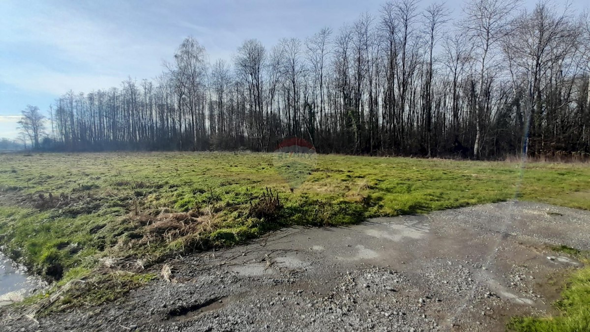 Terreno non edificabile Donji Dragonožec, Brezovica, 5.252m2