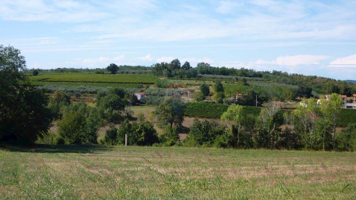 Terreno edificabile Mekiši kod Vižinade, Vižinada, 755m2