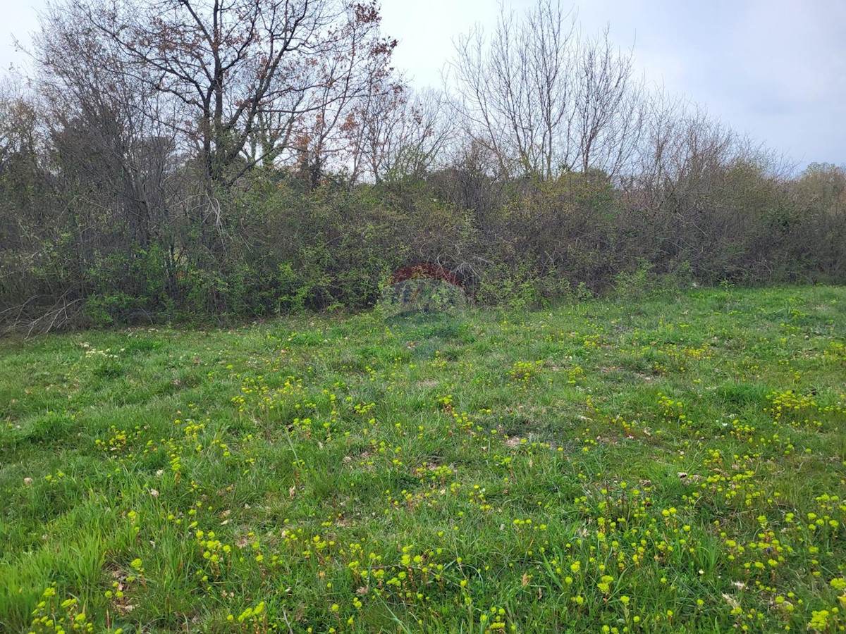 Terreno edificabile Manjadvorci, Barban, 970m2