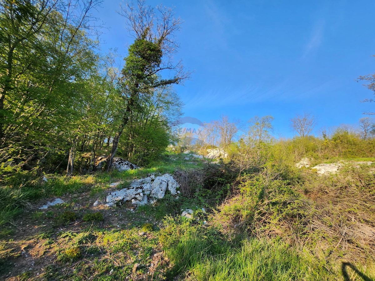 Terreno edificabile Cernik, Čavle, 3.136m2
