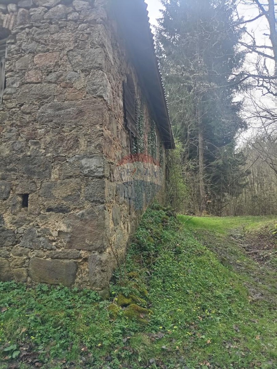 Casa Plešce, Čabar, 200m2