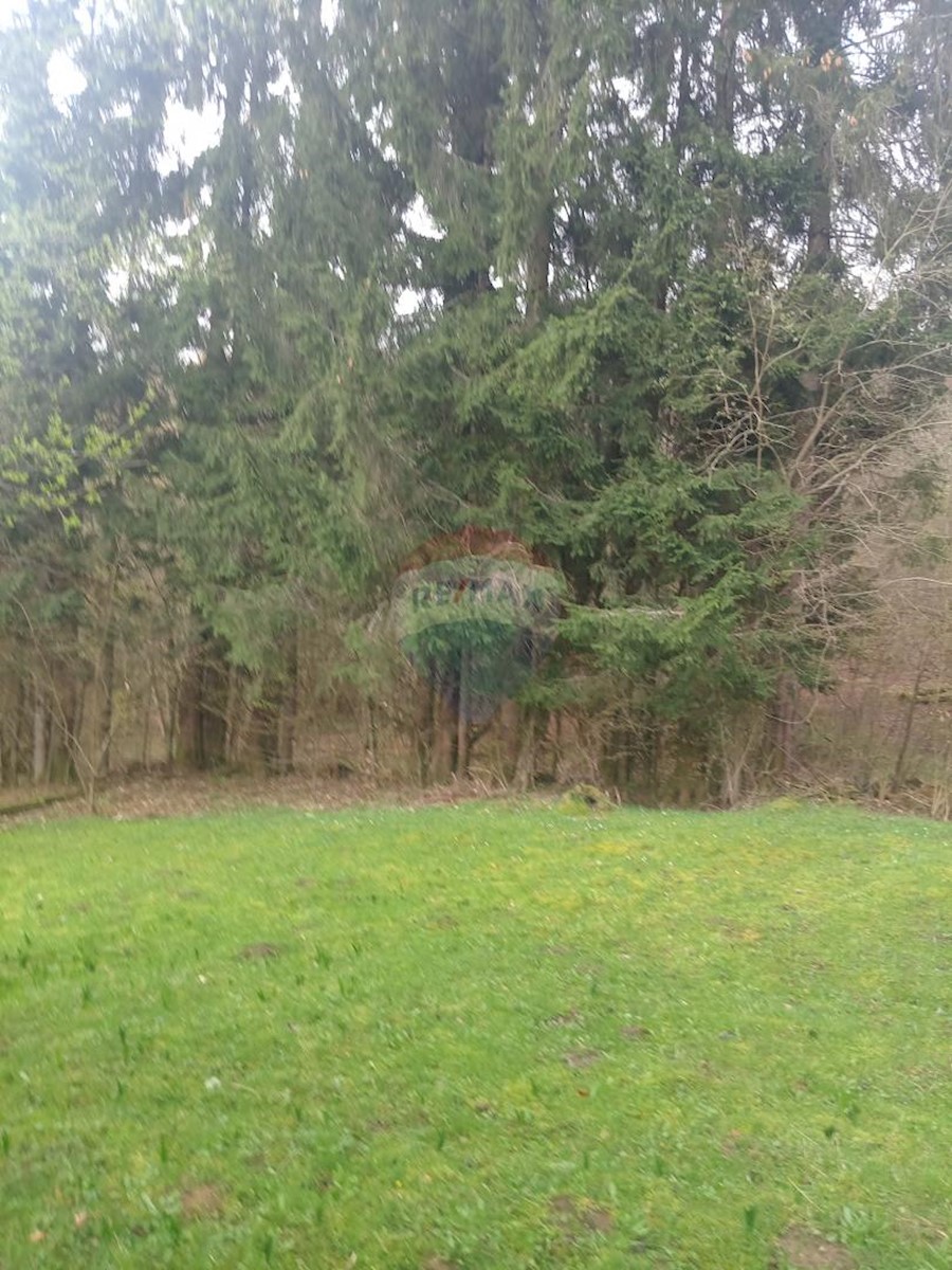 Casa Plešce, Čabar, 200m2
