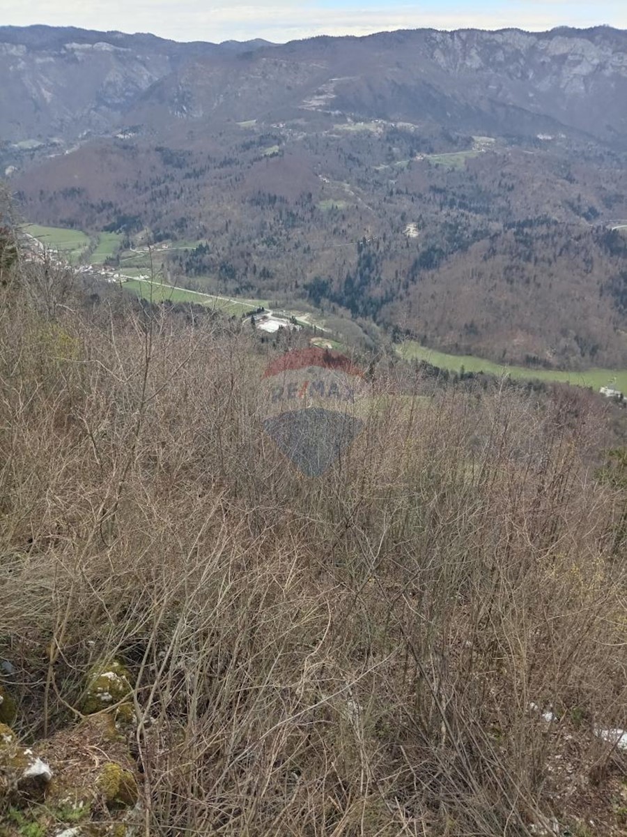 Casa Plešce, Čabar, 200m2