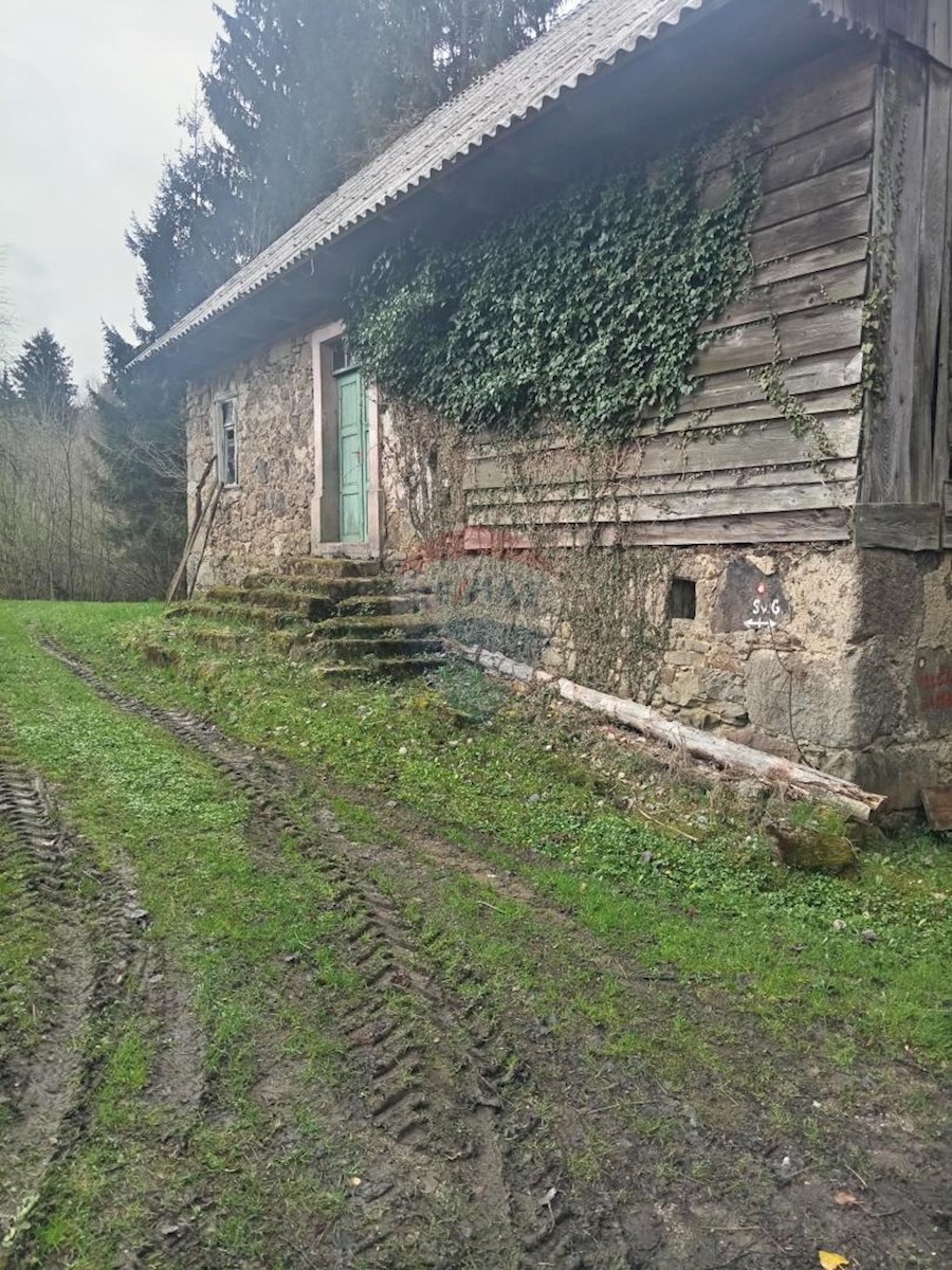 Casa Plešce, Čabar, 200m2