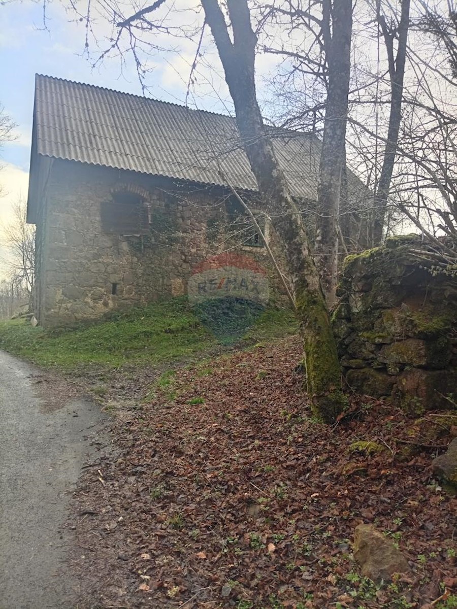 Casa Plešce, Čabar, 200m2