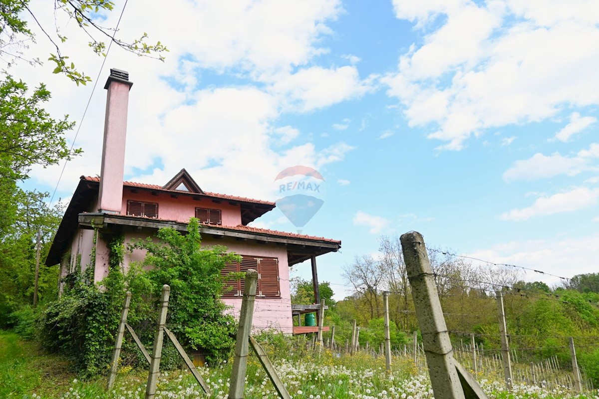 Casa Donja Zelina, Sveti Ivan Zelina, 226m2