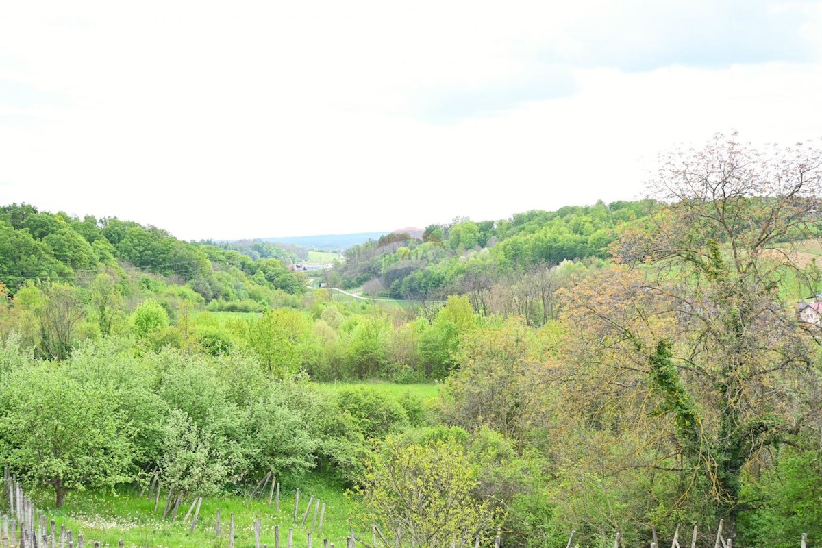 Casa Donja Zelina, Sveti Ivan Zelina, 226m2