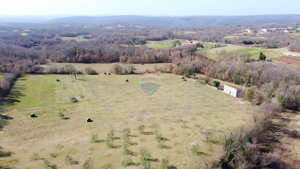 Terreno edificabile Žminj, 26.935m2