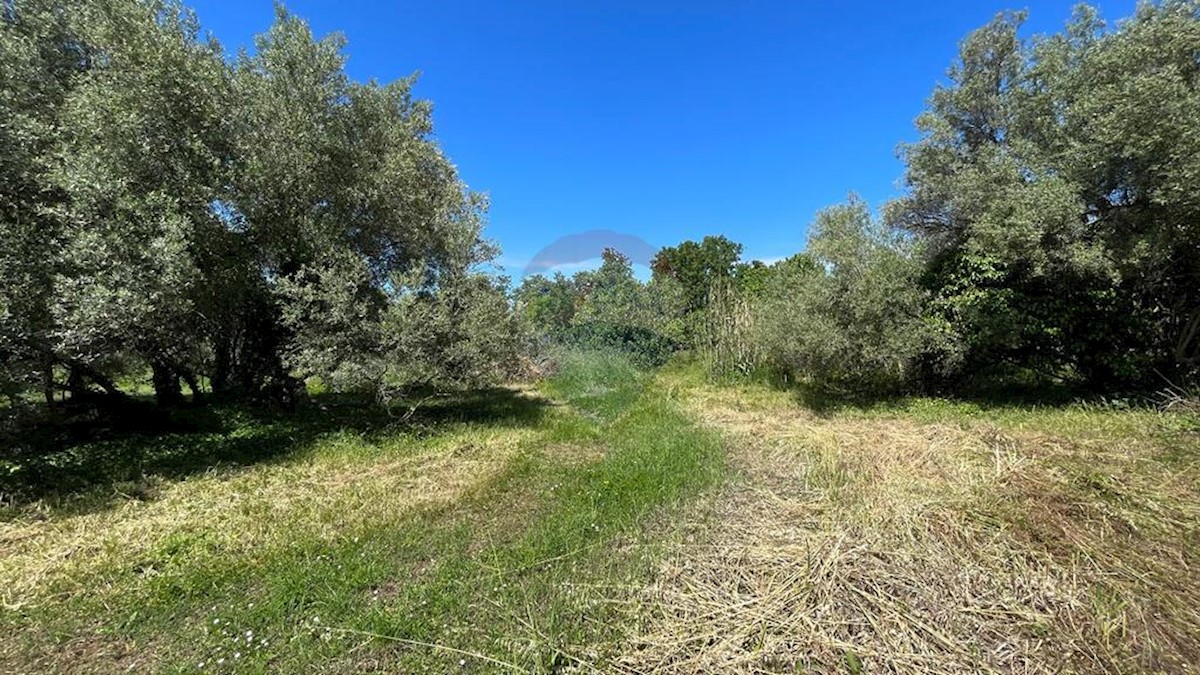 Casa Poreč, 350m2