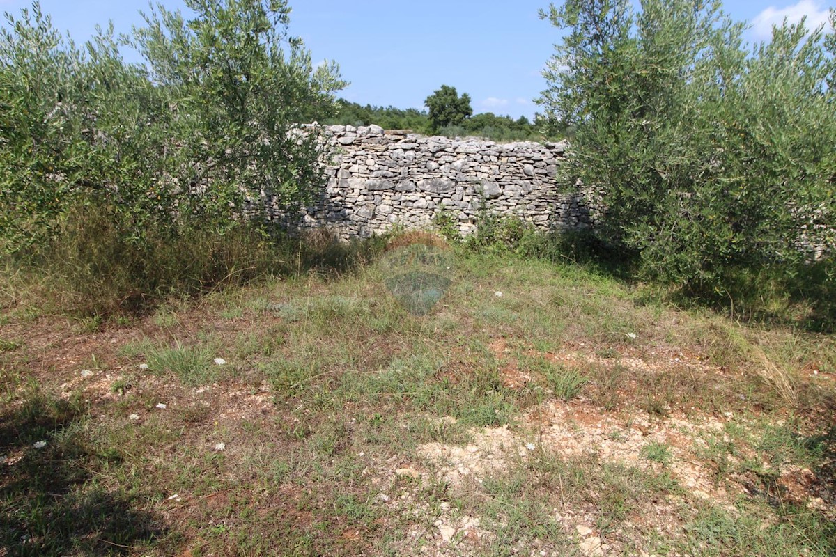 Terreno edificabile Majmajola, Vodnjan, 9.718m2