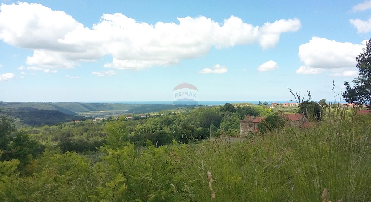 Terreno edificabile Buje, 2.524m2