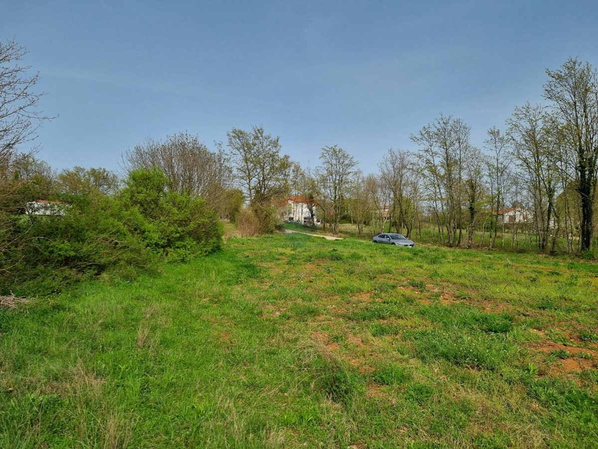 Terreno edificabile Žminj, 5.769m2